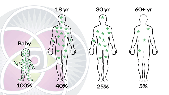 (Fig. 3) Percentage of Stem Cells decrease as we age and lose vitality as we age