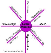Lyme disease mimics many other diseases which is why it is so often mis-diagnosed.