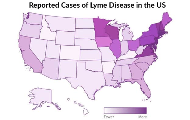 Reported cases of Lyme Disease in the U.S.