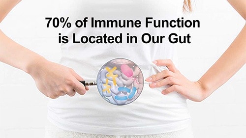 70% of our immune function is located in our gut. Long-term antibiotics can mess that up.