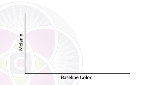 On the left of this graph is the amount of melanin in your skin. On the bottom is your baseline color.