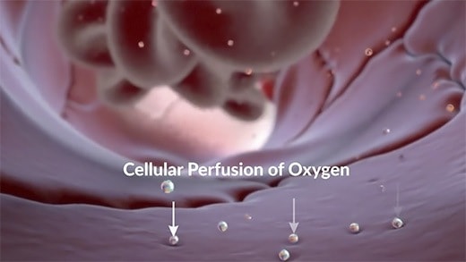 Ozone improves the red blood cells metabolism and increases their ability to carry and deliver oxygen to your tissues.